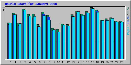Hourly usage for January 2015