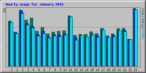 Hourly usage for January 2016