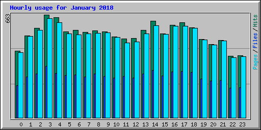 Hourly usage for January 2018
