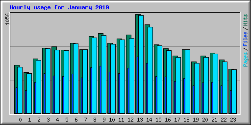 Hourly usage for January 2019