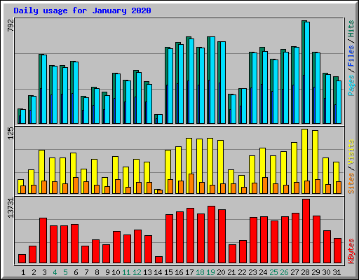 Daily usage for January 2020