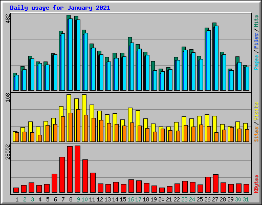 Daily usage for January 2021
