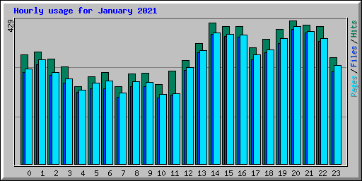 Hourly usage for January 2021