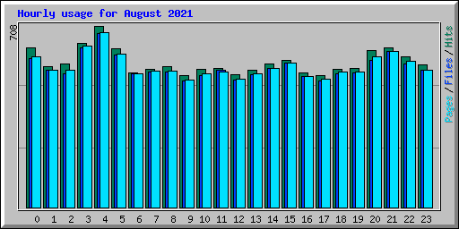 Hourly usage for August 2021